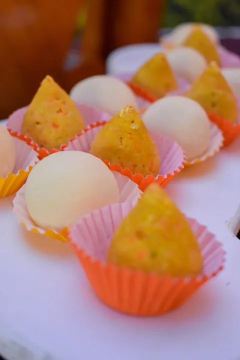 Salgadinhos pet: coxinha de frango e bolinha de queijo