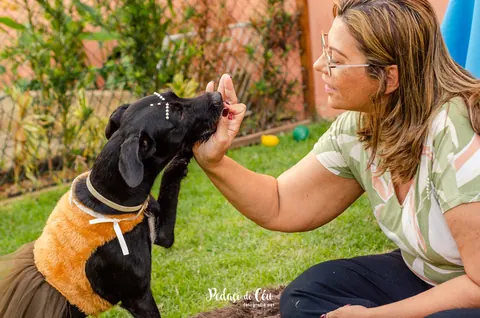 Tutora brincando com seu cachorro na festa de aniversário pet